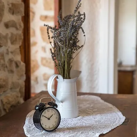 Villa Hacienda Grižane